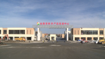 完成到位资金近70亿元！1-10月奎屯市招商引资成效显著，粮油仓储服务产业引关注