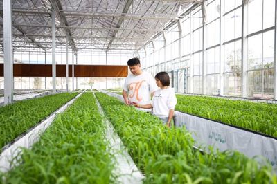 宜宾翠屏 机械化耕种管收烘“一条龙” 助力北域粮油现代化农业园区发展